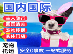 南宁航空空运国际宠物托运 【国